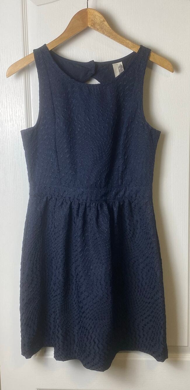 Francesca's Collections Blue Textured Open Back Sleeveless Fit Flare Dress Med